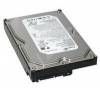 pevný IDE Ultra ATA disk, kapacita 500GB